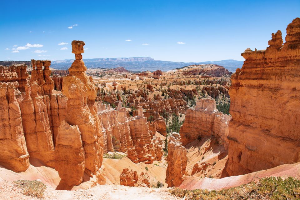 Bryce Canyon National Park: Guided ATV/RZR Tour - Full Description