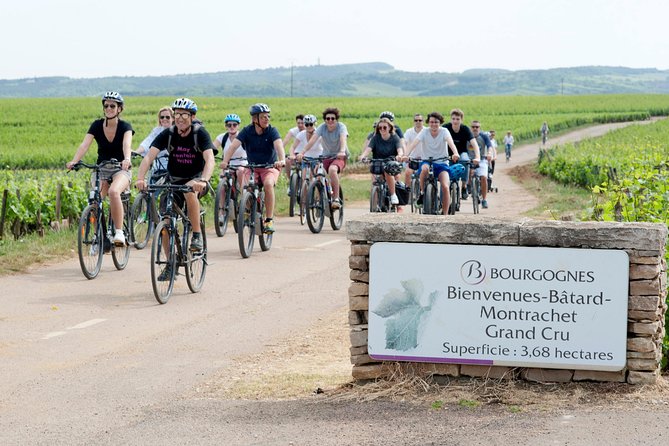 Burgundy Bike Tour With Wine Tasting From Beaune - Tour Highlights