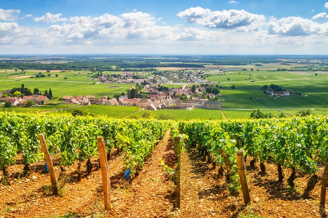 Burgundy Wine Tasting Small-Group Tour in Chablis From Paris - Visitor Experiences and Recommendations