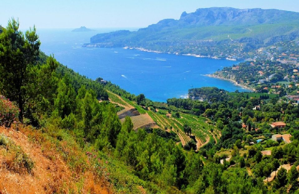 Calanques of Cassis, Aix-en-Provence & Wine Tasting Day Tour - Discover Calanques of Cassis