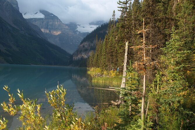 Calgary Three National Parks Private Tour - Pickup and Logistics