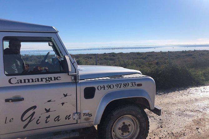 Camargue 4x4 Safari 2 Hours Saintes Maries De La Mer - Tour Experience Details