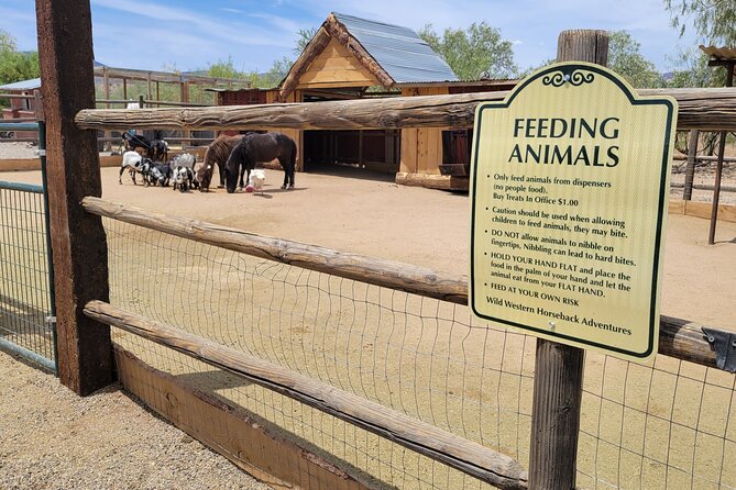 Camp Verde Small-Group Scenic Horseback Ride  - Flagstaff - Cancellation & Refund Policy