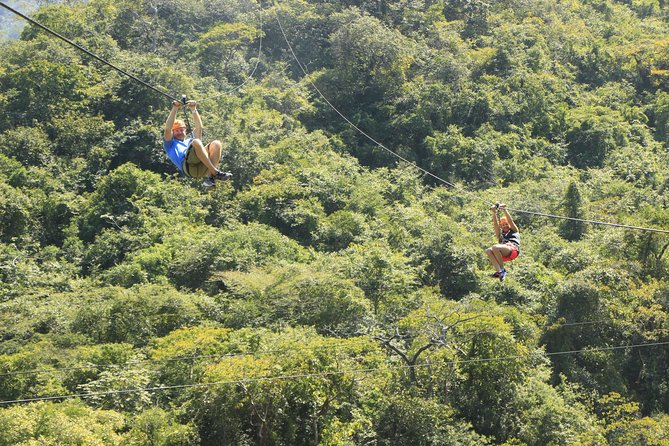 Canopy River Zipline Tour and Mule Ride - Participant Requirements