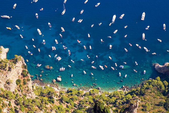 Capri & Blue Grotto Boat Trip With Max. 8 Guests From Sorrento - Customer Reviews