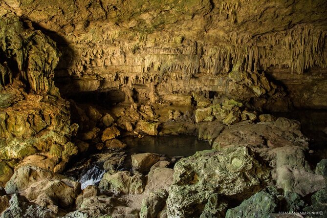 Caracol Maya Ruins Tour Including Rio On Pools, Rio Frio Cave and a Picnic Lunch - Booking Details