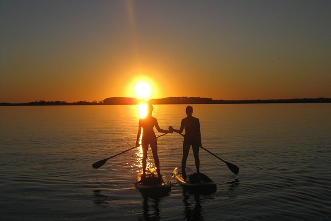 Charleston Stand-Up Paddleboard Eco Tour - Expert Guidance