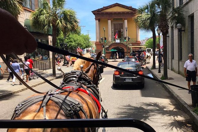 Charleston's Old South Carriage Historic Horse & Carriage Tour - Customer Experience