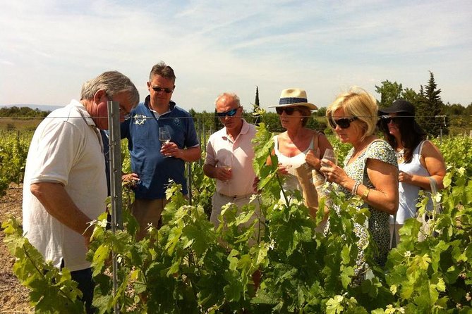 Cité De Carcassonne and Wine Tasting Private Day Tour From Toulouse - Copyright and Terms