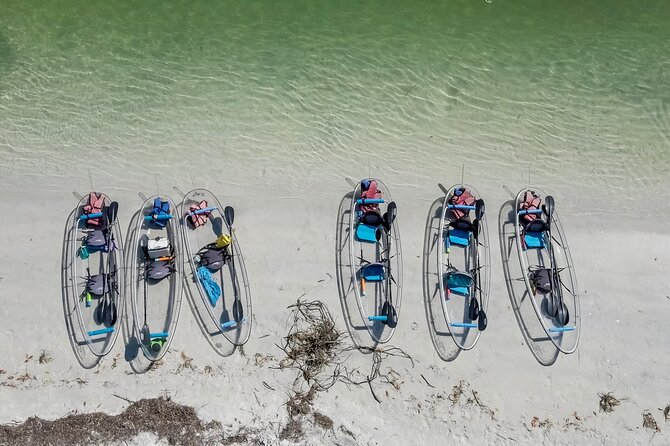 Clear Kayak Tour of Shell Key Preserve and Tampa Bay Area - Meet the Guides