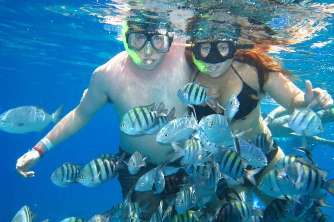 Cozumel Coral Reef Snorkeling by Glass Bottom Boat With Guide - Logistics and Meeting Point