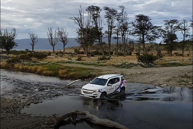 Crab Route Through Tierra Del Fuego From Ushuaia - Guide Quality and Service Feedback