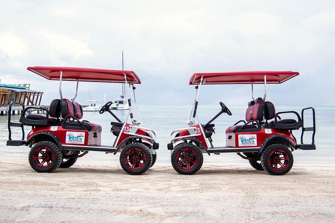 C&S (4 Seater) Golf Cart Rentals - Experience Expectations and Guidelines