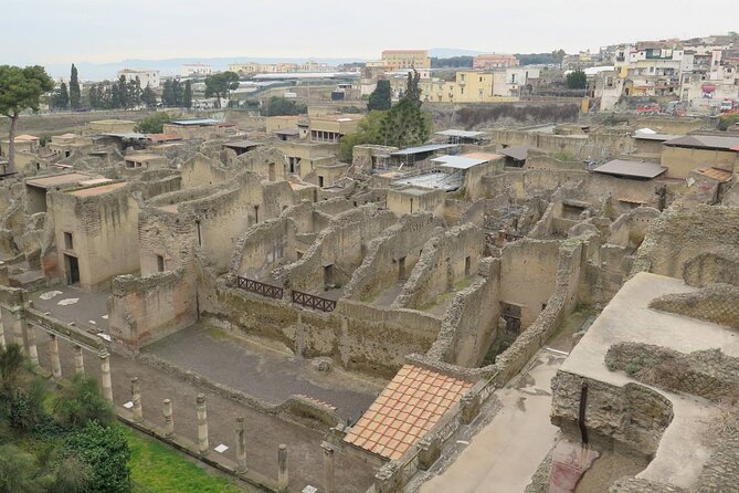 Day Trip of Pompeii, Herculaneum and Vesuvius From Naples - Customer Feedback and Suggestions