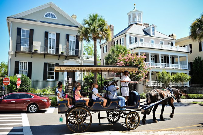 Daytime Horse-Drawn Carriage Sightseeing Tour of Historic Charleston - Group and Private Tours