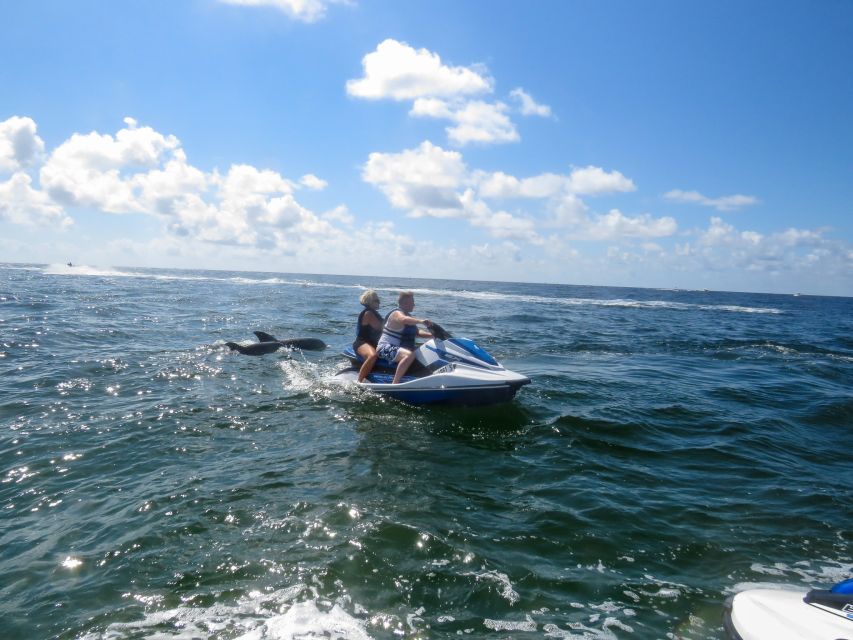 Destin: Crab Island Dolphin Watching Jet Ski Tour - Experience Highlights