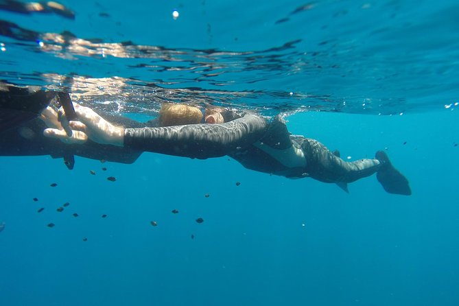 Discover Freediving Course - Final Words