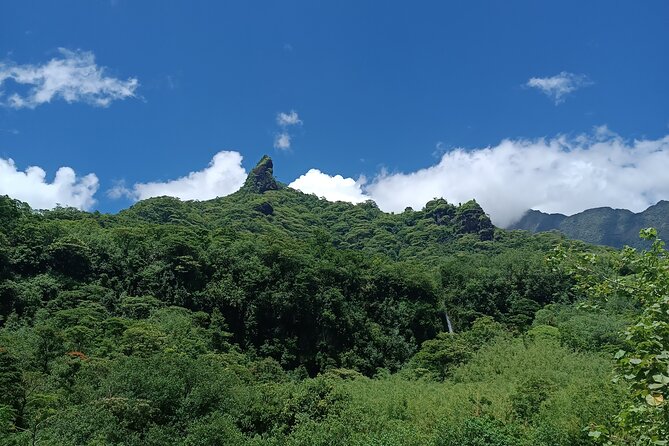Discover Mana During the Crossing of Tahiti in a 4x4 Safari - Guide and Commentary Experience