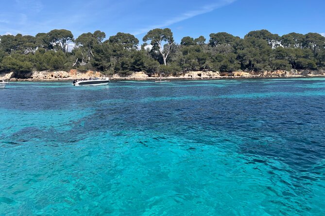 Discover the Lérins Islands and the Bay of Cannes by Private Boat - Customer Feedback and Recommendations