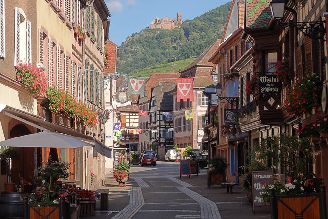 Eguisheim, Kayserberg, Ribeauville, and Riquewihr Private Tour  - Colmar - Customer Reviews