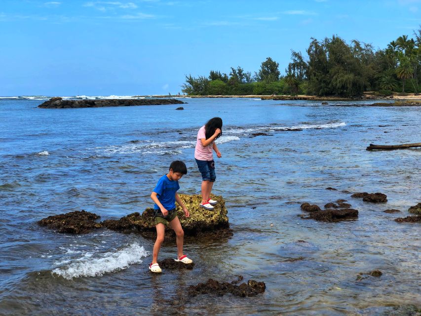 Enjoy Private Professional Photo Tour in Honolulu Island - Tour Attractions and Photography Stops