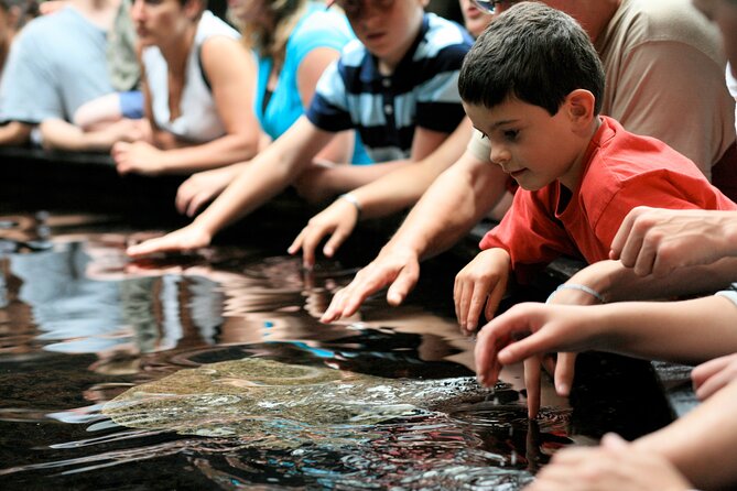 Entrance Ticket Nausicaa, the Biggest Aquarium in Europe - Traveler Reviews and Ratings