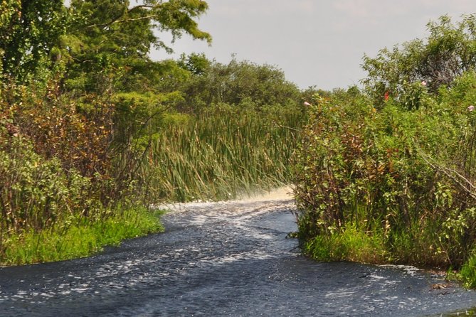 Everglades Airboat Tour Near Orlando Florida - Reviews and Testimonials