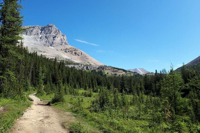 Exclusive Skoki Backcountry Guided Hiking in Lake Louise With Van Shuttle - Cancellation Policy Details to Note