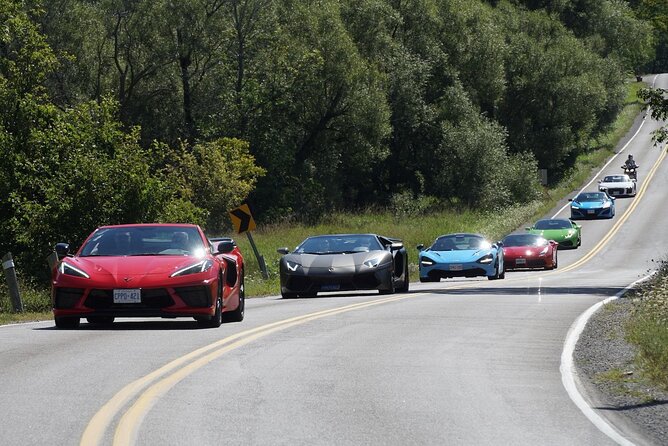 Exotic or Supercar Test Drive on Hamilton Mountain - Booking Specifics