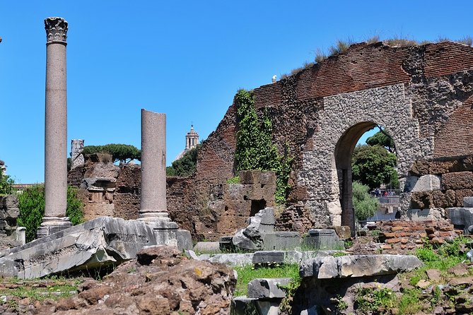 Fast Track: Colosseum, Palatine Hill and Roman Forum Tour - Weather Adaptations and Guest Comfort