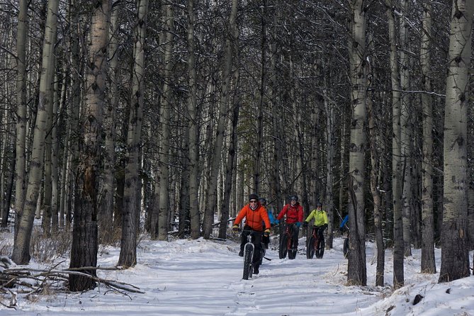 Fatbike Frozen Waterfall Tour - Cancellation Policy Details