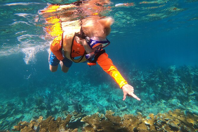 Florida Keys Snorkeling Adventure  - Key Largo - Participant Requirements