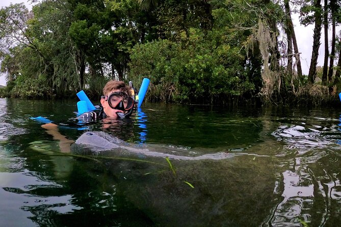 Florida Manatees, Nature Park, and Airboat Tour From Orlando - Real Florida Adventures