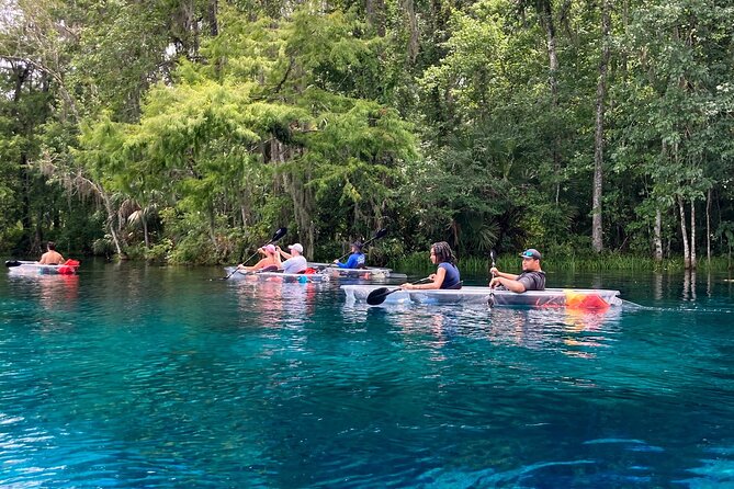 Florida: Silver Springs Small-Group Clear Kayaking Tour  - Orlando - Experience Highlights