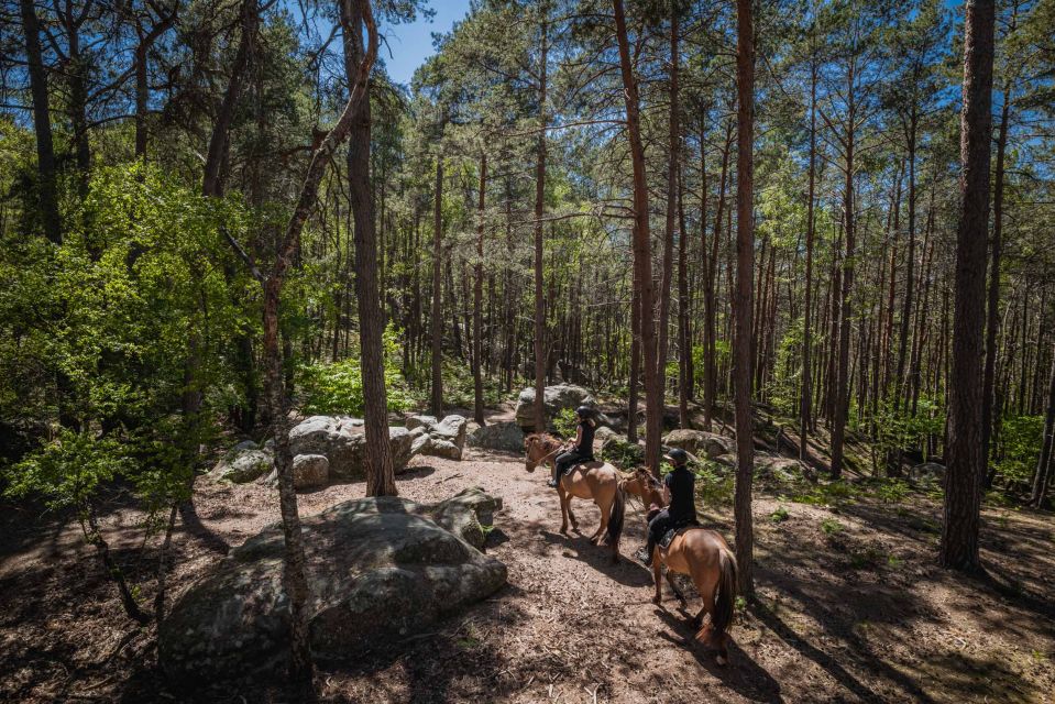 Fontainebleau: Horse-riding, Gastronomy & Château - Inclusions