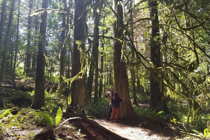 Francis King Regional Park Forest Bathing  - Vancouver Island - Additional Information for Participants