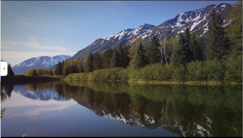 From Anchorage: Wilderness, Wildlife, & Glacier Experience - Explore the Chugach National Forest