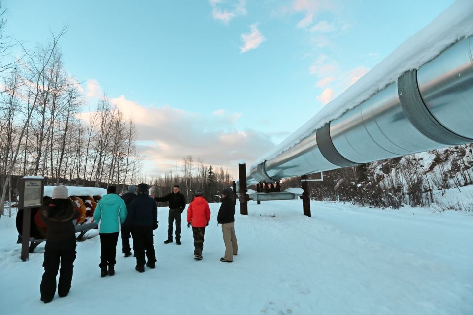 From Fairbanks: Arctic Circle Northern Lights Full-Day Trip - Pipeline Insights