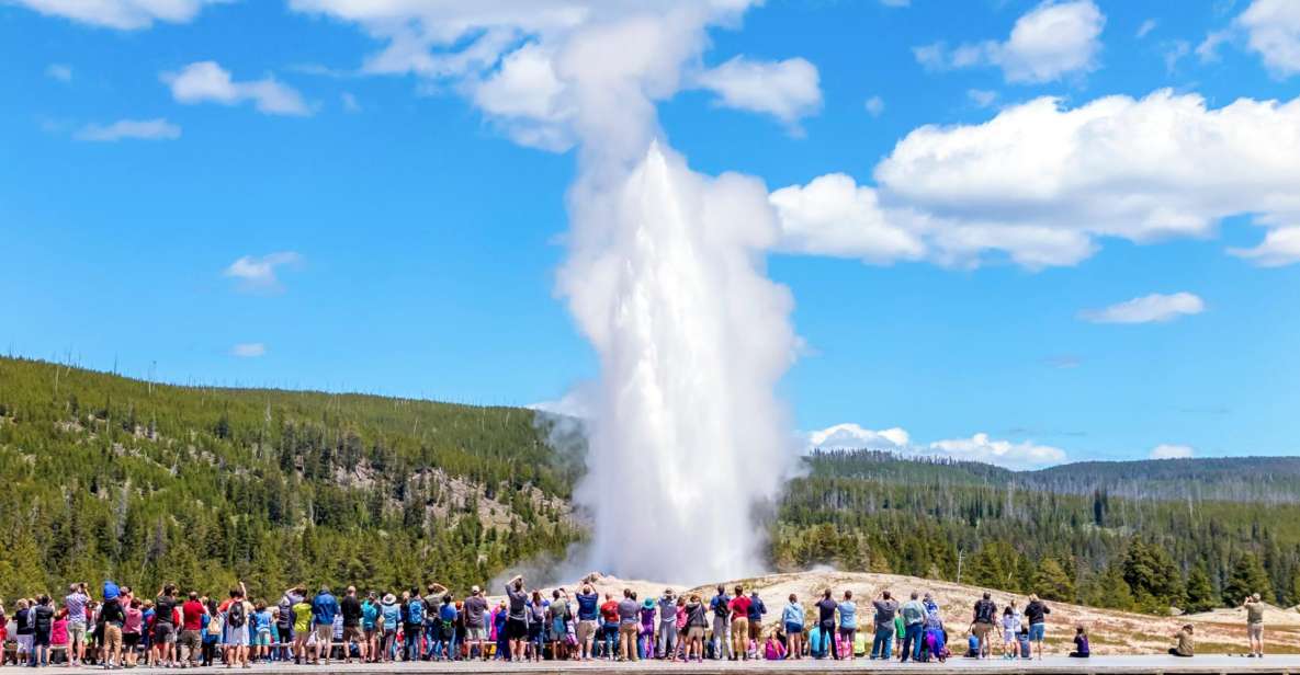 From Jackson: Yellowstone Day Tour Including Entrance Fee - Customer Reviews and Ratings