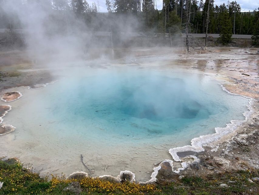From Jackson: Yellowstone National Park Day Trip With Lunch - Review Summary