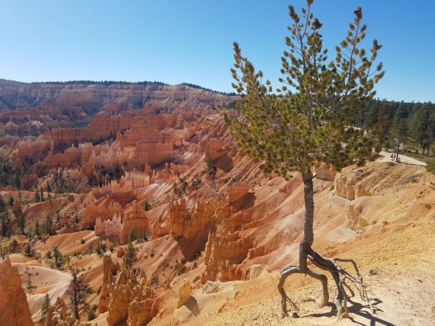 From Las Vegas: Zion and Bryce Canyon Guided Day Tour - Full Tour Description