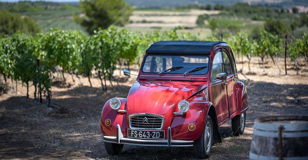 From Montpellier: Winery Tour in a Vintage Citroën 2CV - Customer Reviews