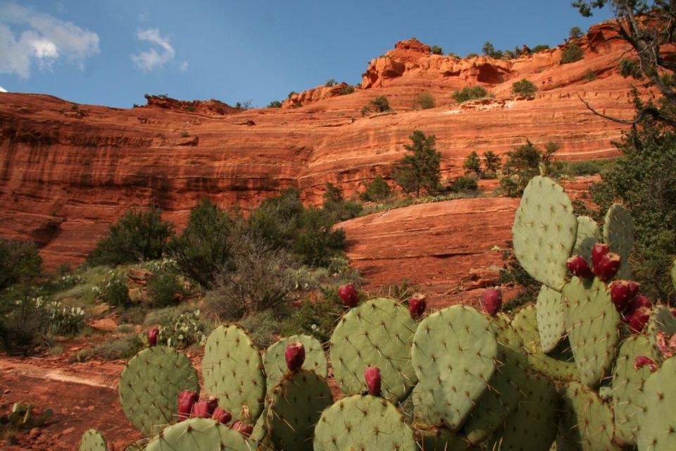 From Phoenix: Full-Day Sedona Small-Group Tour - Booking Information