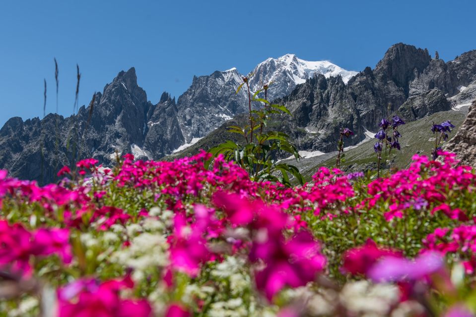 From Torino: Mont Blanc Private Full-Day Trip - Full Description