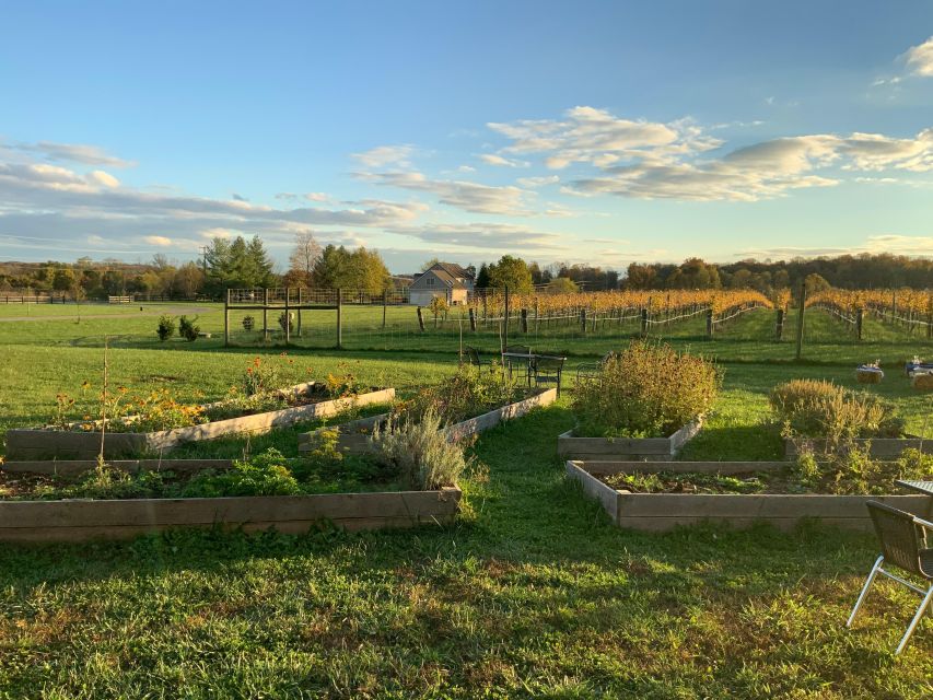 From Washington, DC: Virginia Wine Country Private Day-Trip - Reservation Benefits and Options
