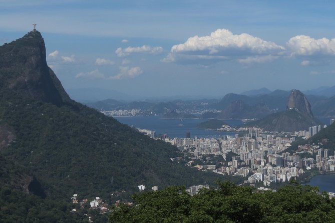 Full-Day Custom Private Tour of Rio - Transportation Details