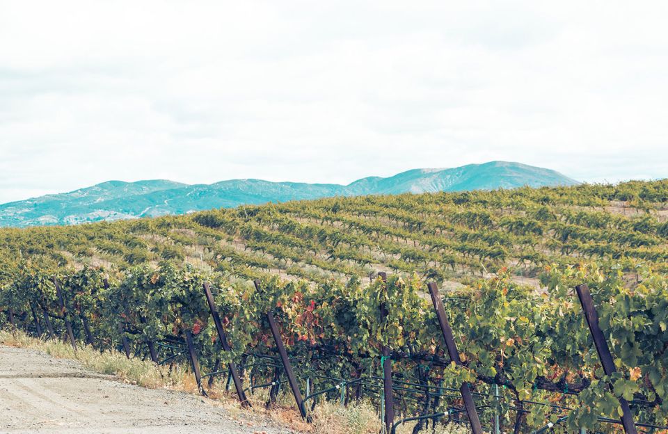 Full-Day Inclusive Wine Tasting Tour From Santa Barbara - Reservation and Payment Options