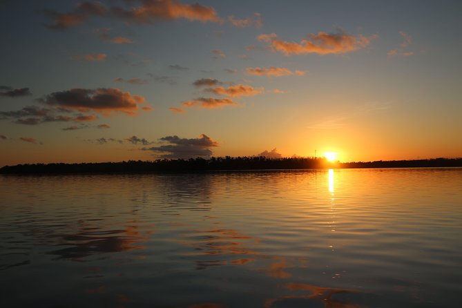 Full-Day Kayak Adventure in the Everglades - Guide Expertise