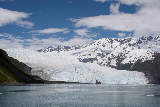 Full-Day Kenai Fjords National Park Cruise - Viator Support & Booking