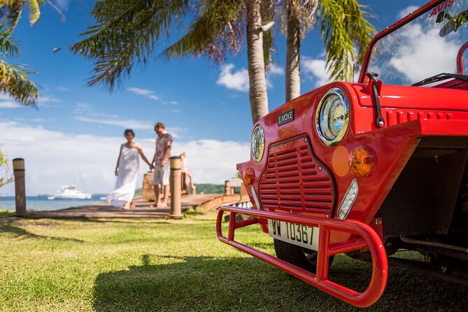 Full-Day Private Bora Bora Electric E-Moke Rental - Customer Reviews and Feedback